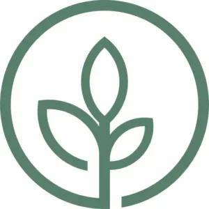 Beewise logo